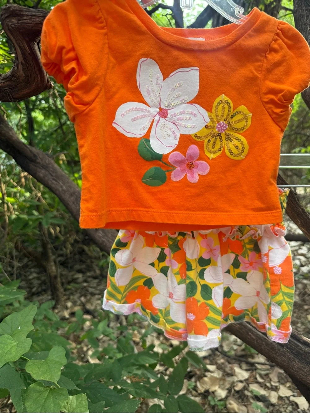 Peek this vibrant